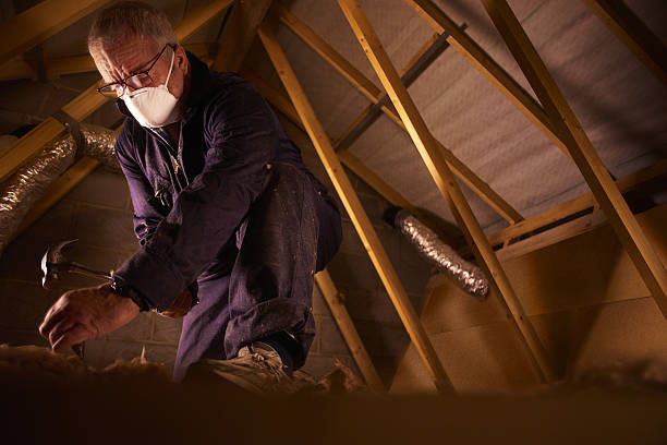  Spring Valley, NV Insulation Contractor Pros