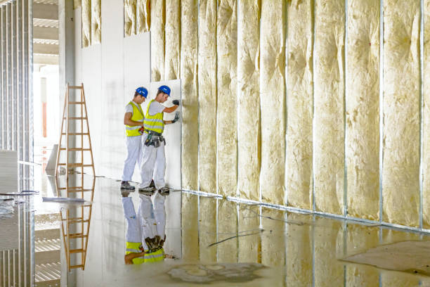 Best Types of Insulation in Spring Valley, NV